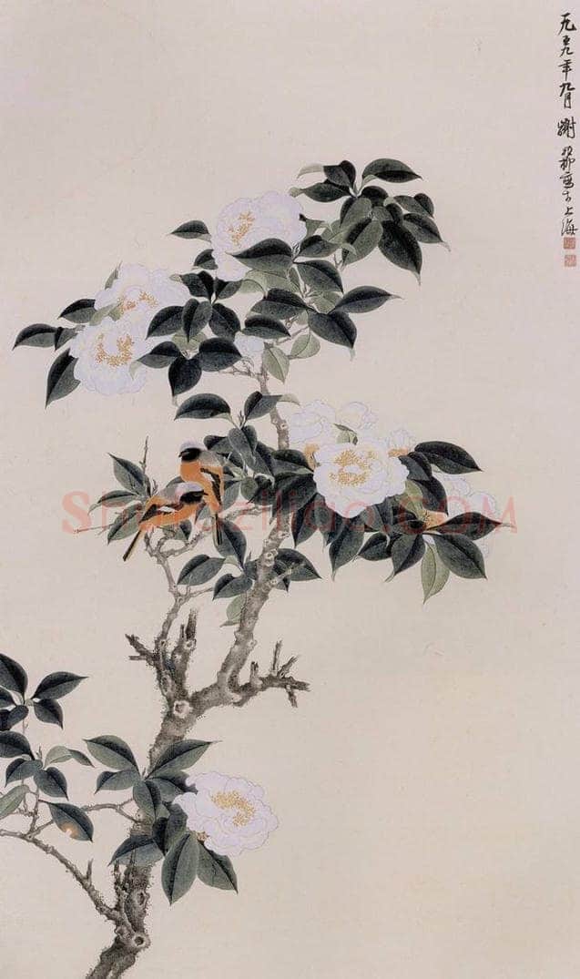 1959年 谢稚柳 《白山茶图》 书画作品