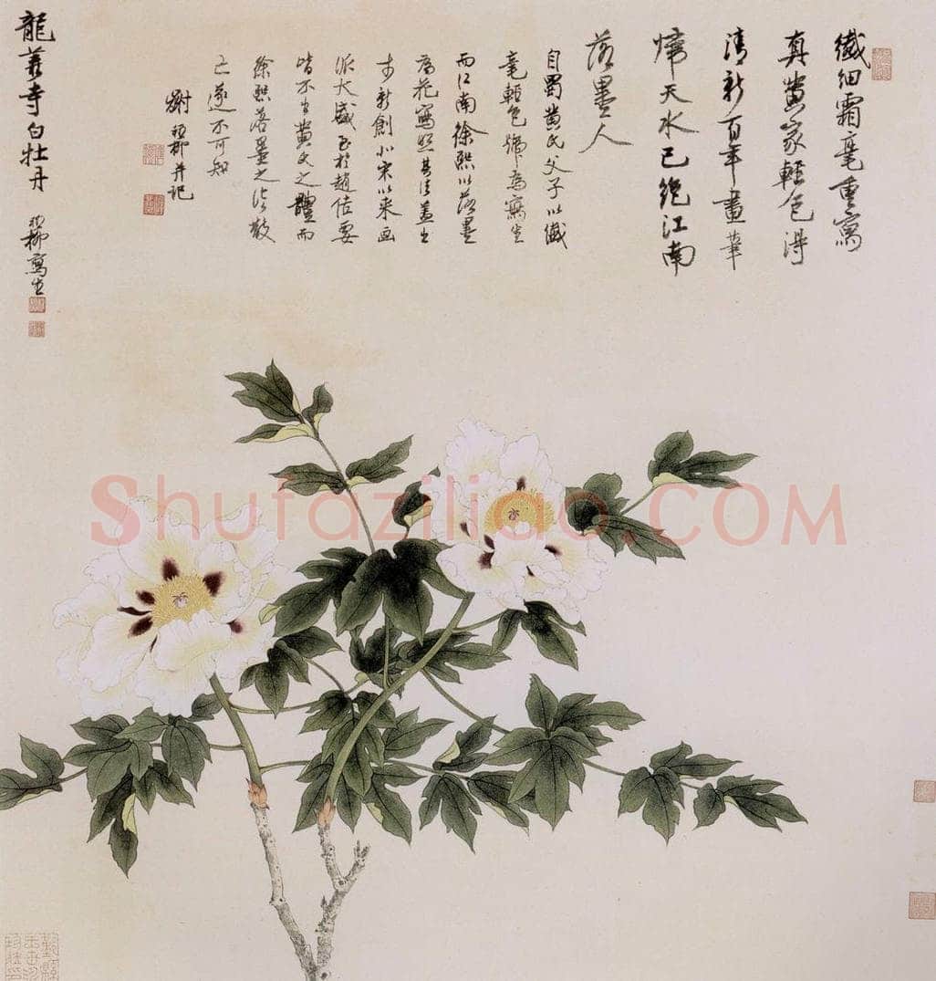 1959年 谢稚柳 《龙华寺白牡丹图》 书画作品