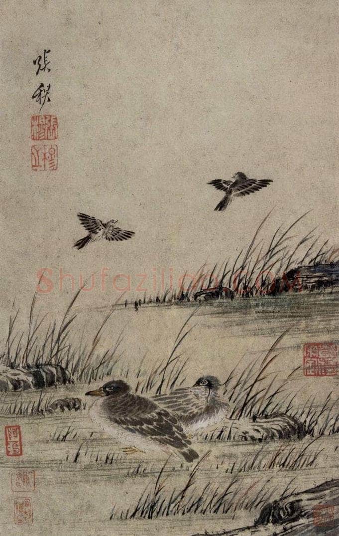 清 张穆 《翎毛珍兽图册》 书画作品