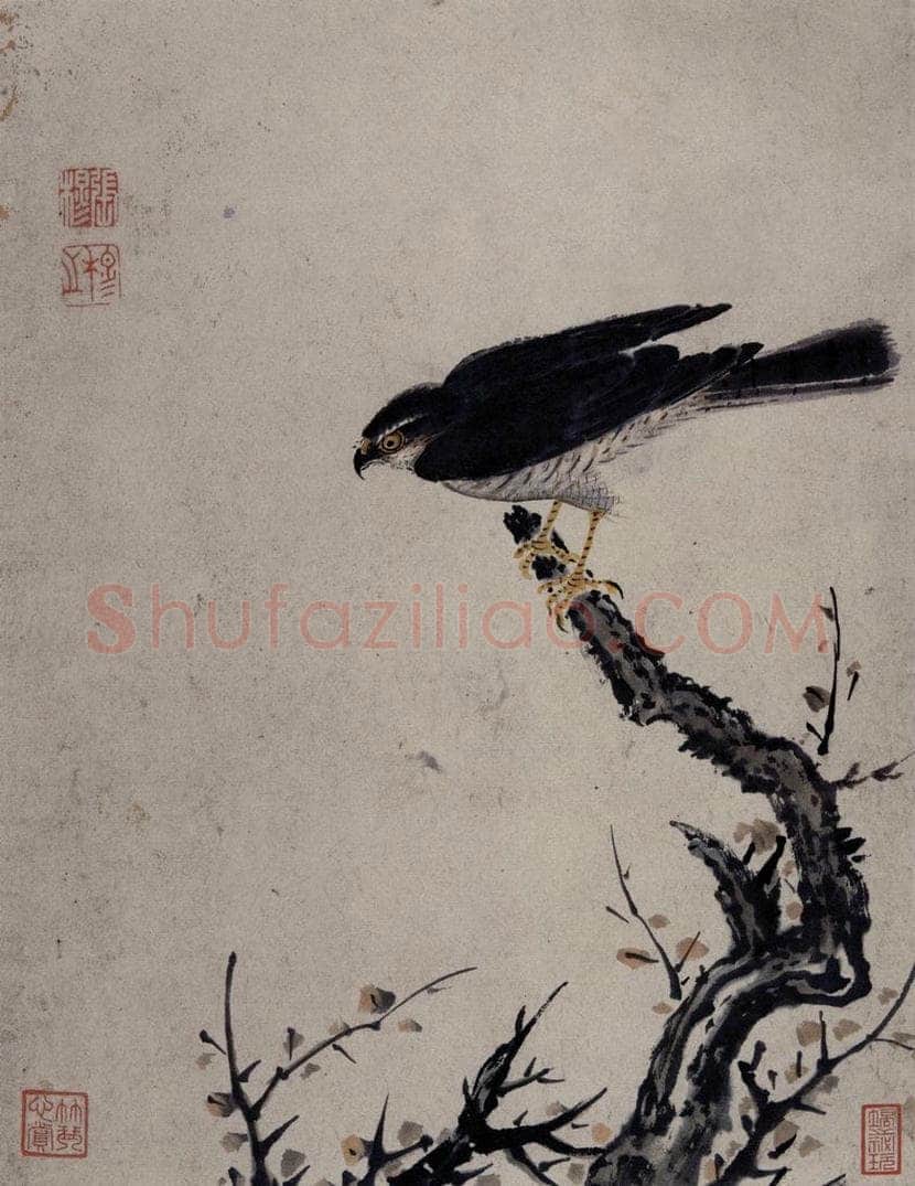 清 张穆 《禽鸟骏马图册》 书画作品