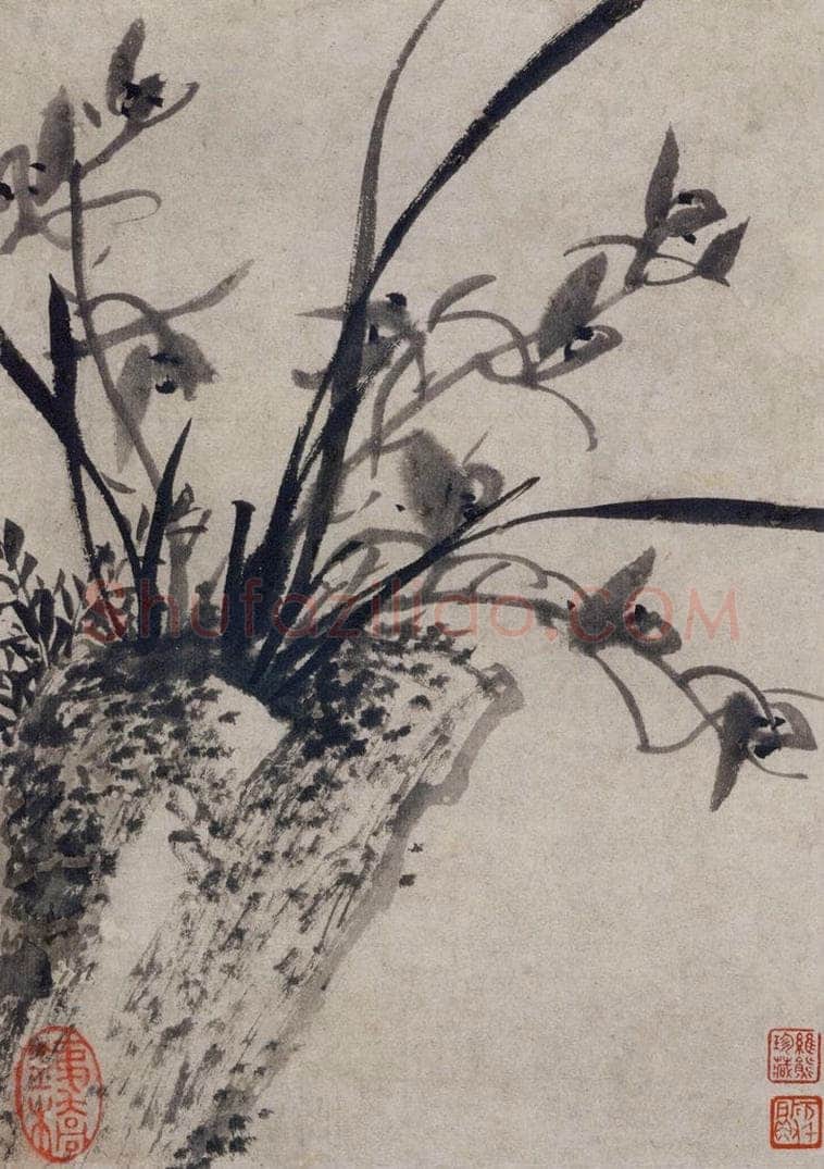 清 张穆 《珍兽花卉图册》 书画作品