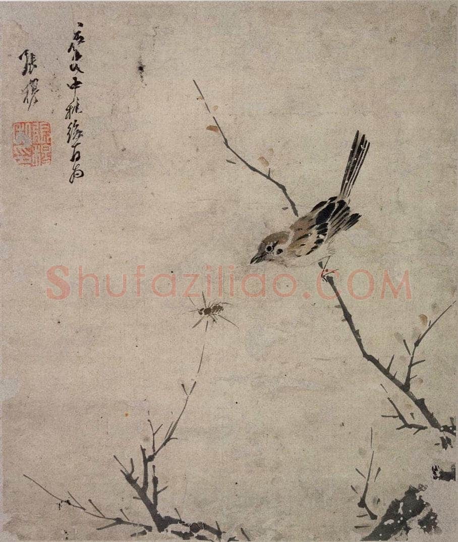 清 张穆 《麻雀图斗方》 书画作品