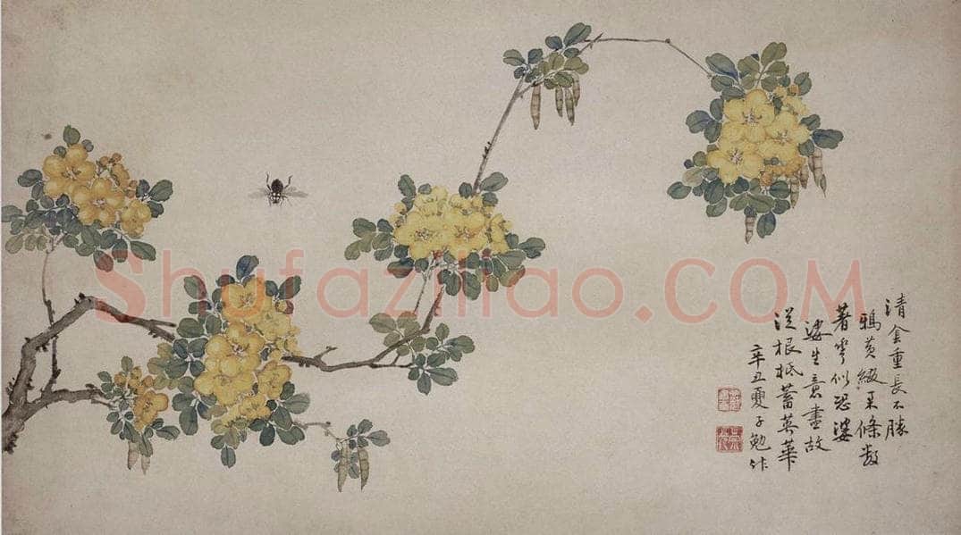 清 张嘉谟 《花卉草丛图册》 书画作品