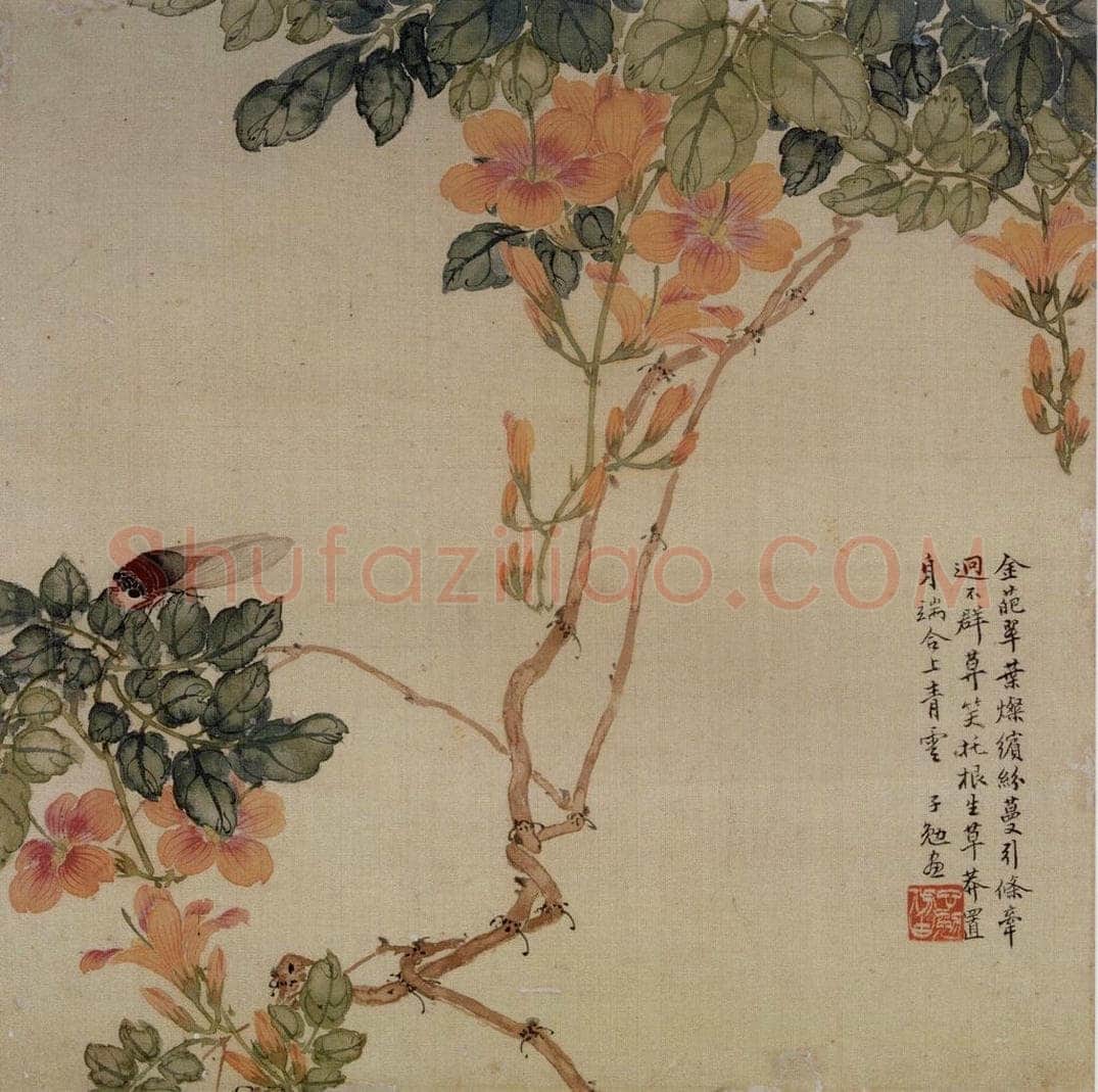 清 张崇光 《花卉草丛图册》 书画作品