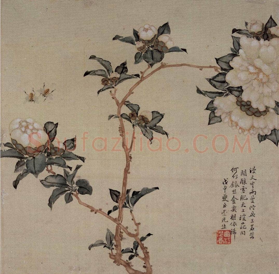 清 张崇光 《花卉草丛图册》 书画作品