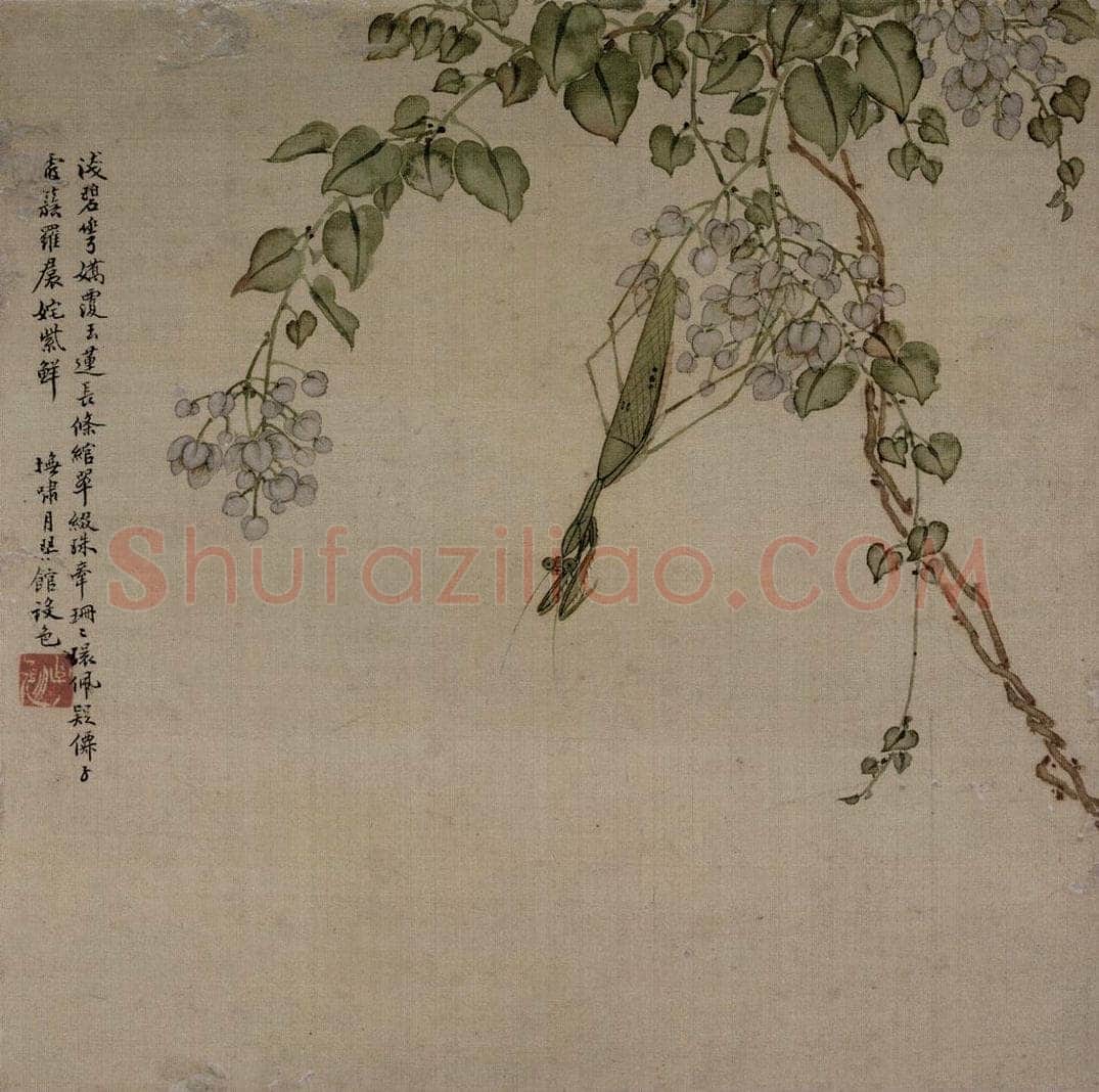 清 张崇光 《花卉草丛图册》 书画作品