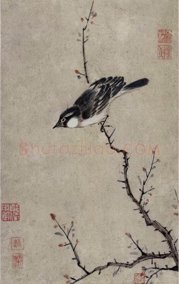 清 张穆 《翎毛珍兽图册》 书画作品