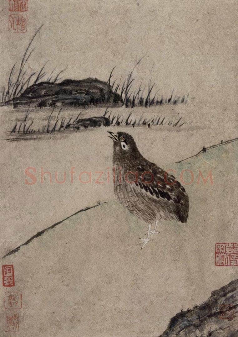 清 张穆 《翎毛珍兽图册》 书画作品