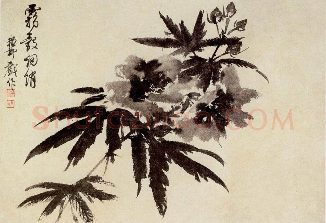  谢稚柳 水墨花卉 书画作品