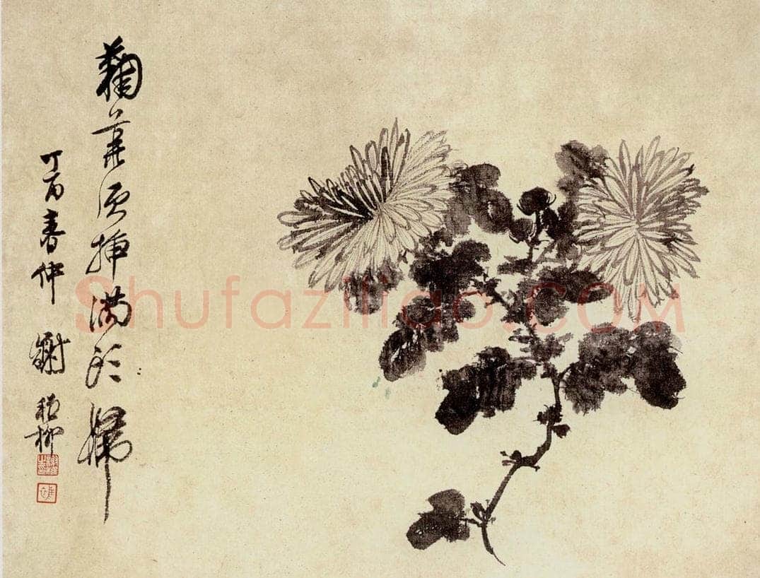  谢稚柳 水墨花卉 书画作品