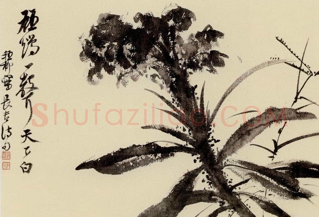  谢稚柳 水墨花卉 书画作品
