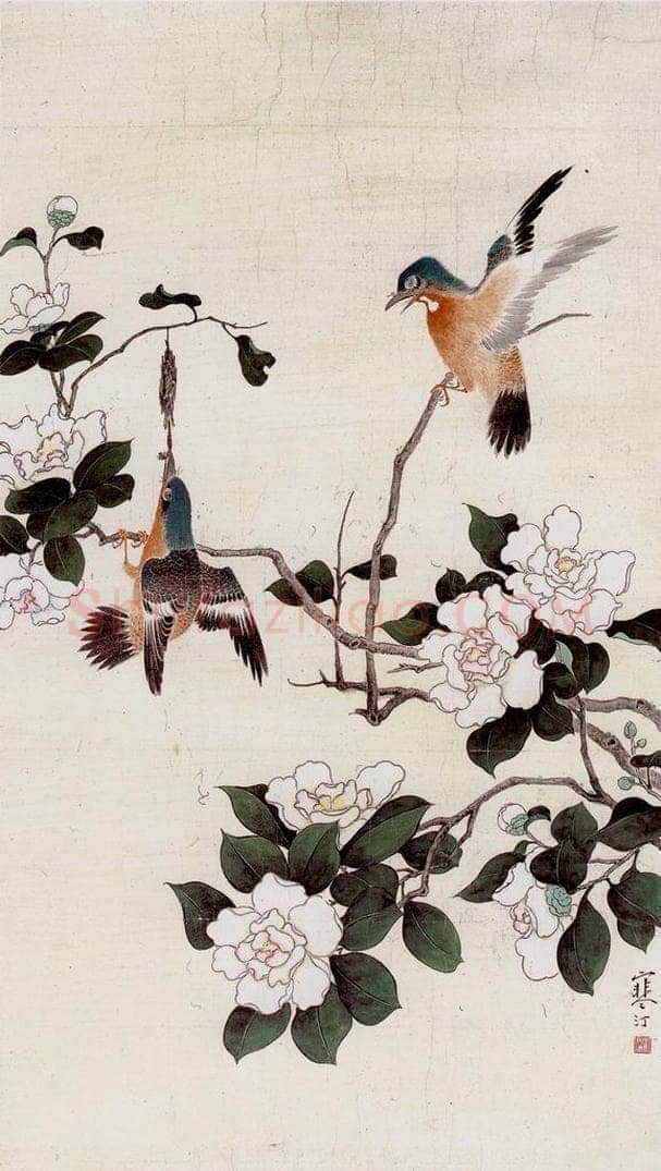  江寒汀 茶花双禽 书画作品