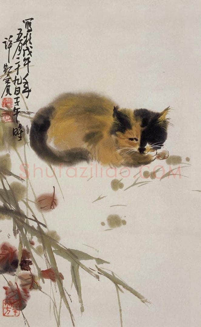  许鸿宾 《睡猫》 书画作品