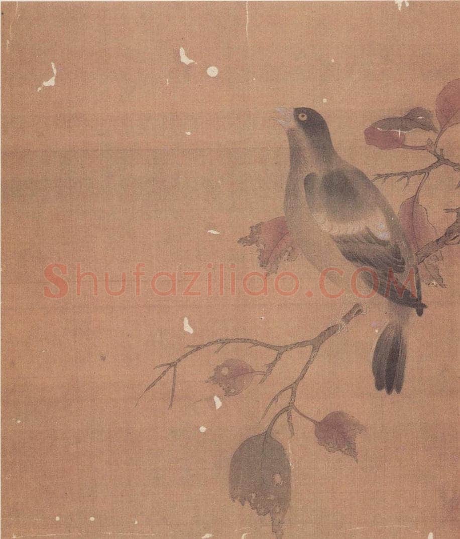 宋 无款 花鸟草虫册 书画作品