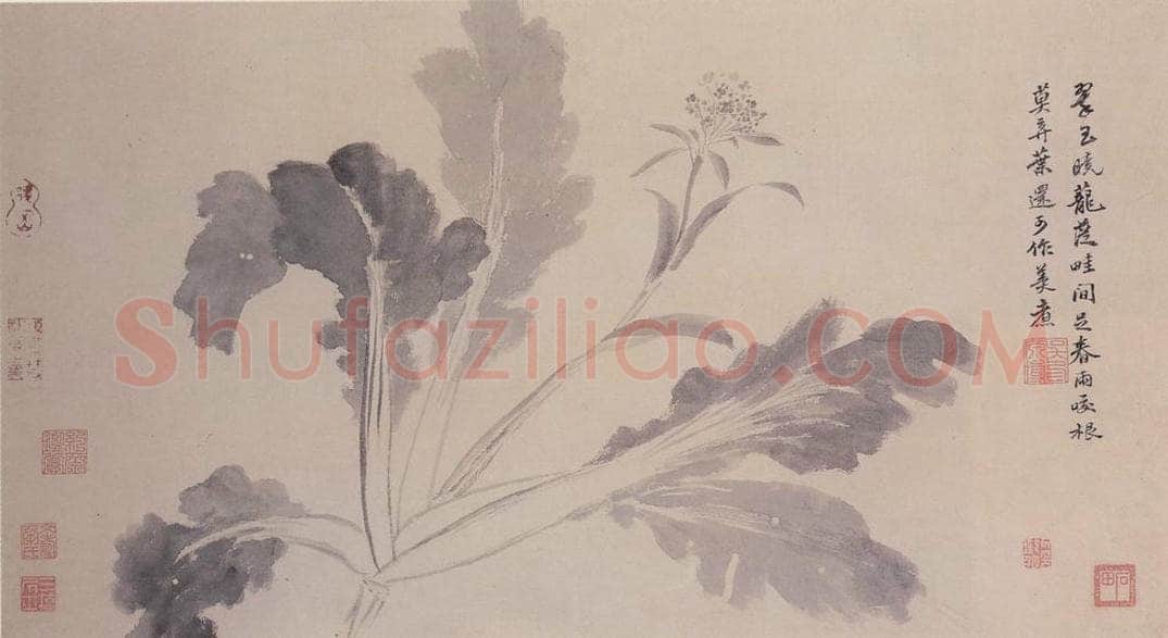 明 沈周 观物之生图册(十二帧) 书画作品