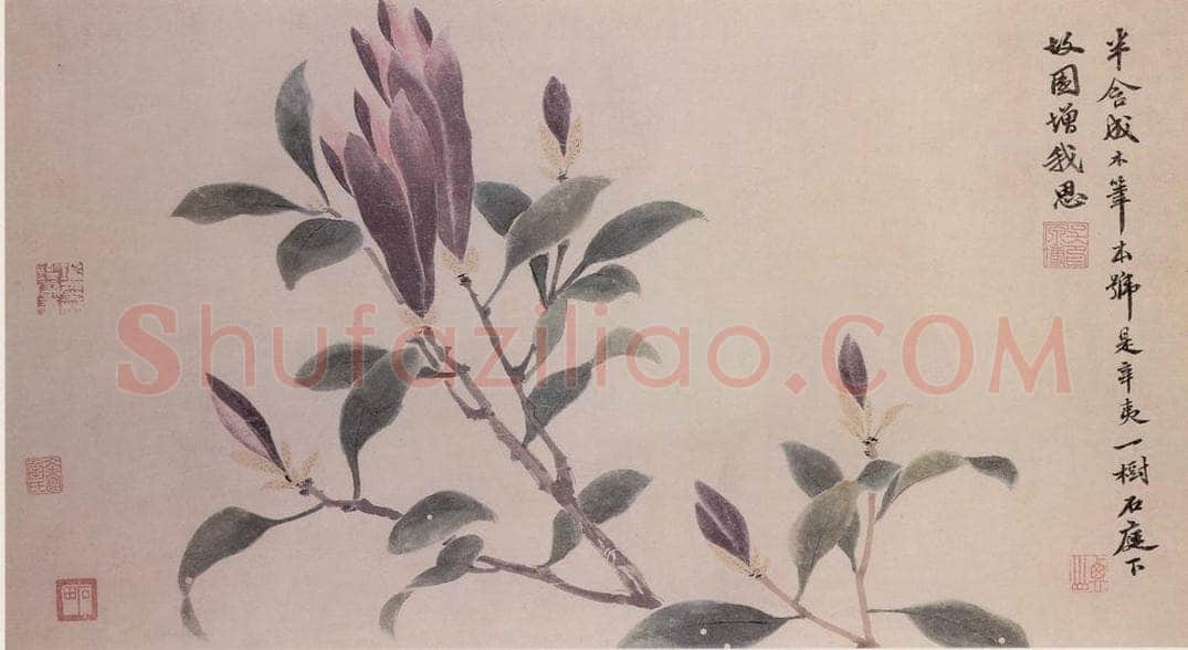 明 沈周 观物之生图册 书画作品