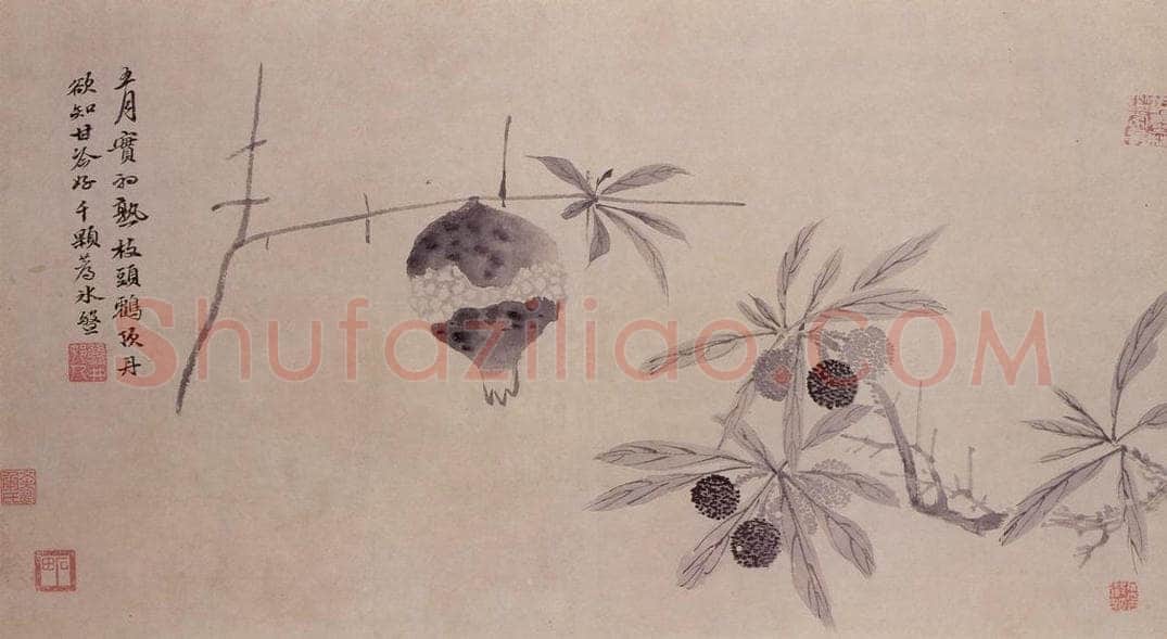明 沈周 观物之生图册 书画作品