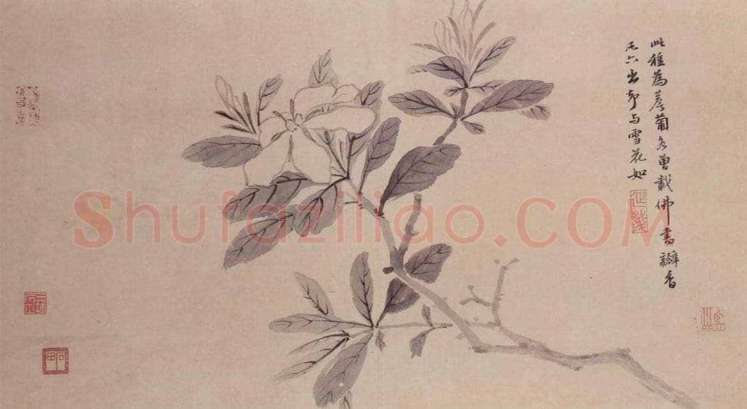 明 沈周 观物之生图册 书画作品
