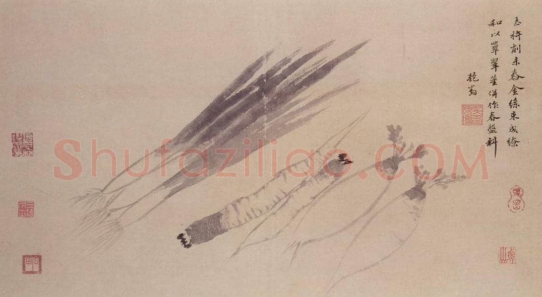 明 沈周 观物之生图册 书画作品