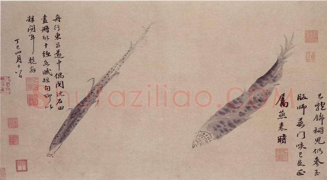 明 沈周 观物之生图册 书画作品