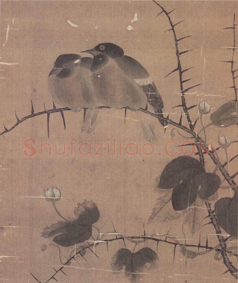宋 无款 花鸟草虫册 书画作品