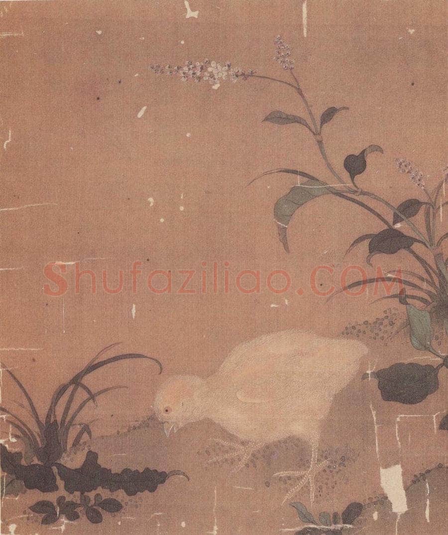 宋 无款 花鸟草虫册 书画作品