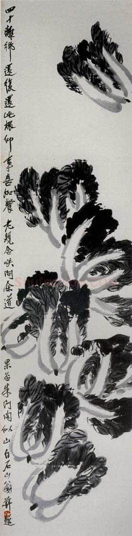 约20年代初期 齐白石 《白菜》 书画作品