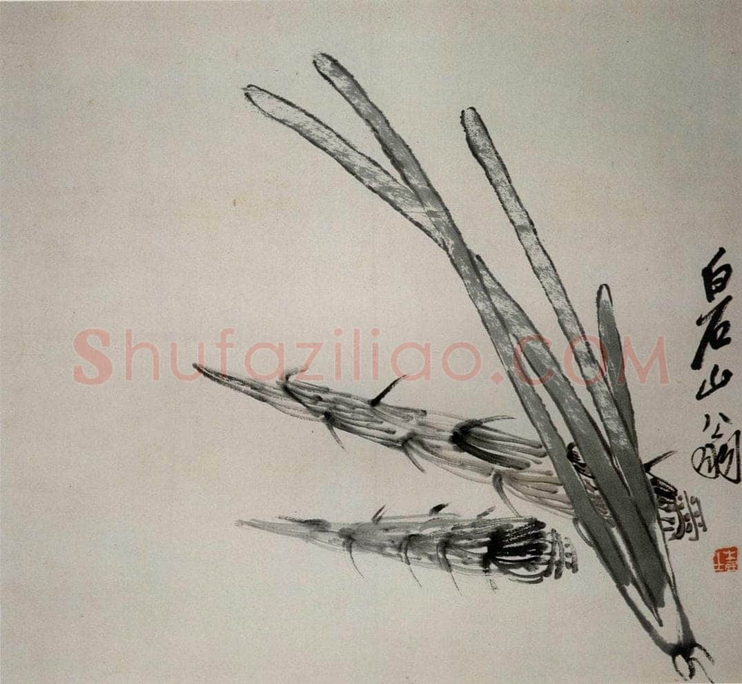 约20年代初期 齐白石 《笋》 书画作品