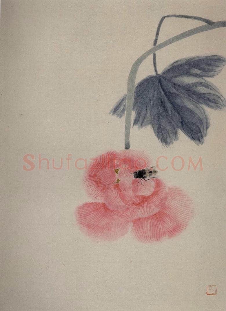 1920年 齐白石 《草虫册页》 书画作品