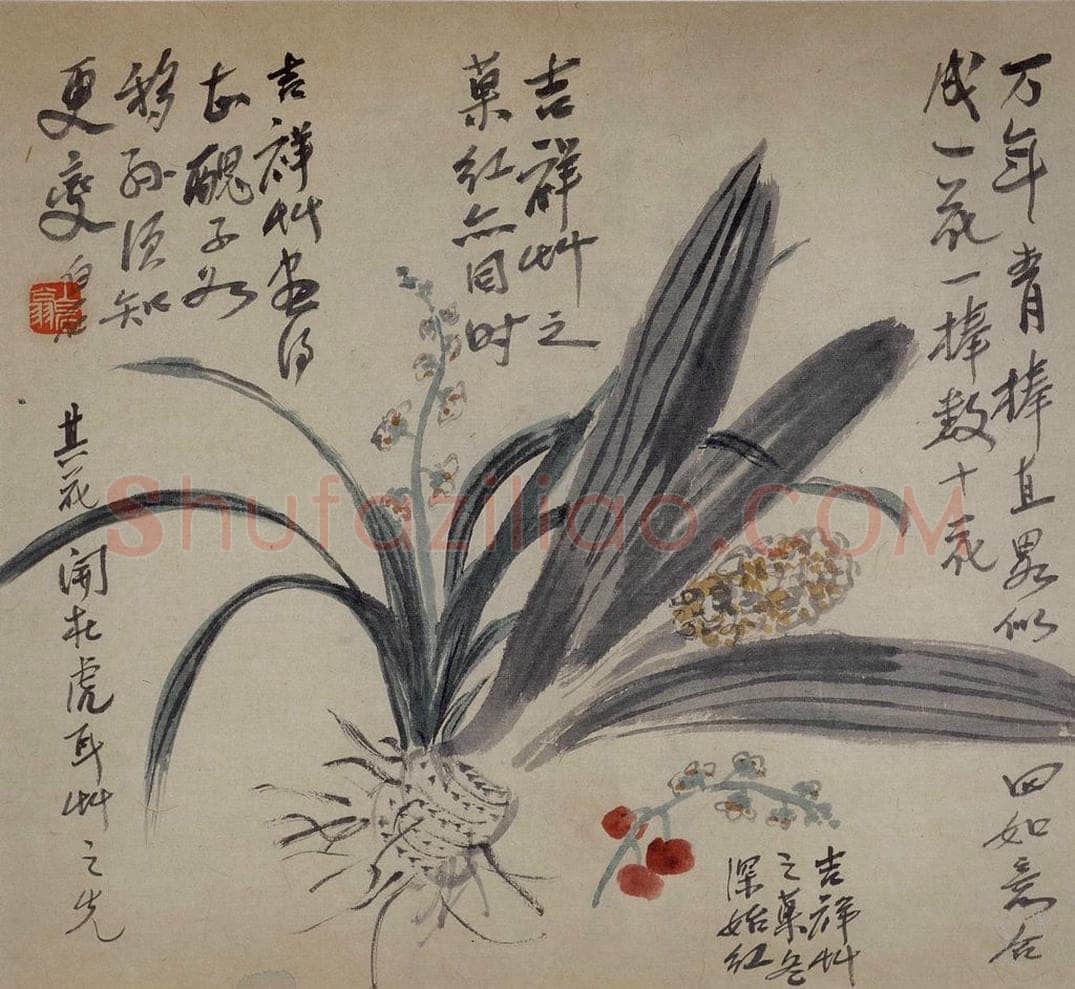 1920年 齐白石 《花卉画稿》 书画作品