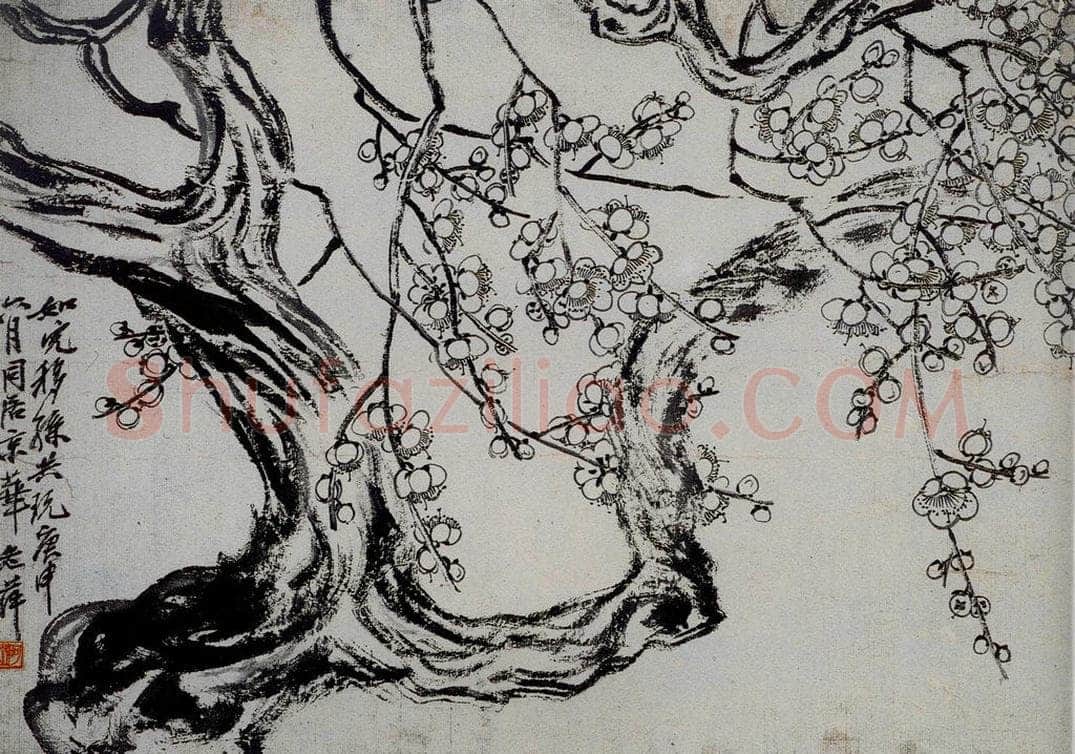 1920年 齐白石 《梅花》 书画作品