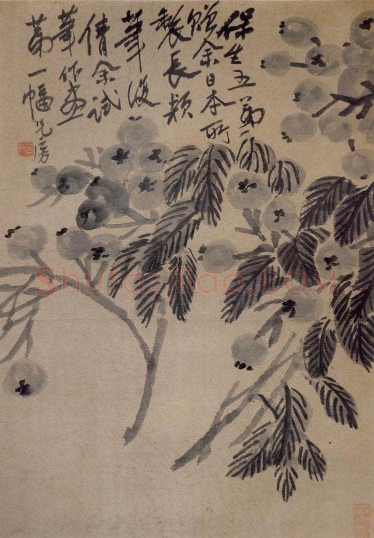 约1920年 齐白石 《枇杷》 书画作品