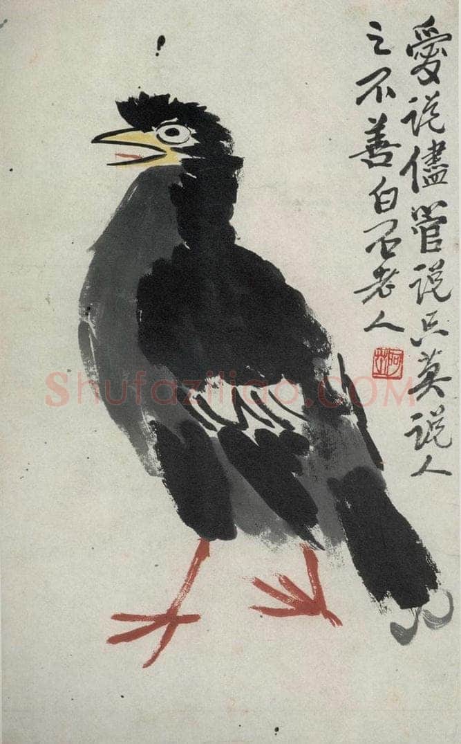 约1948年 齐白石 《八哥》 书画作品