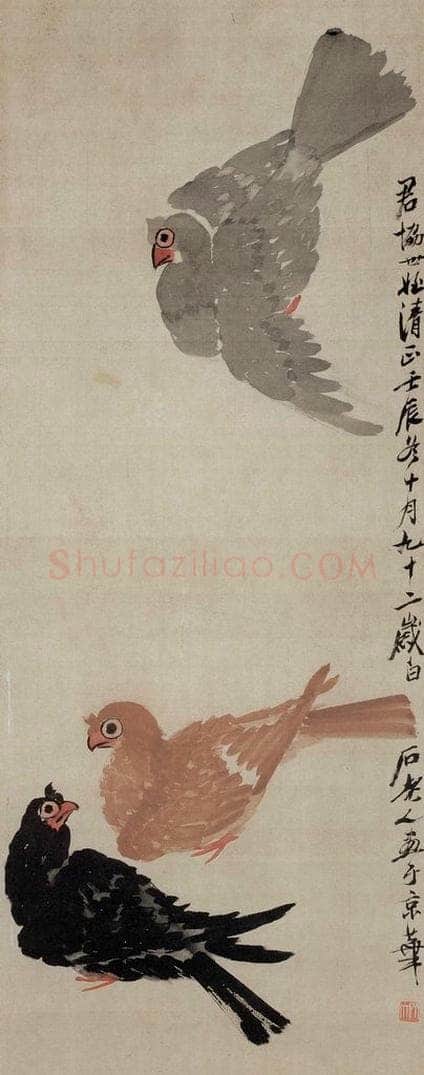 齐白石 鸽子 书画作品