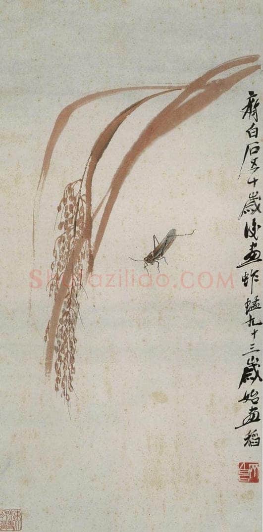 齐白石 蚱蜢稻穗 书画作品