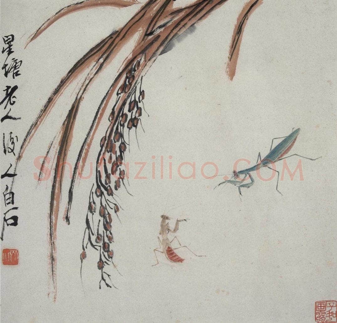 齐白石 虫草杂画册 书画作品