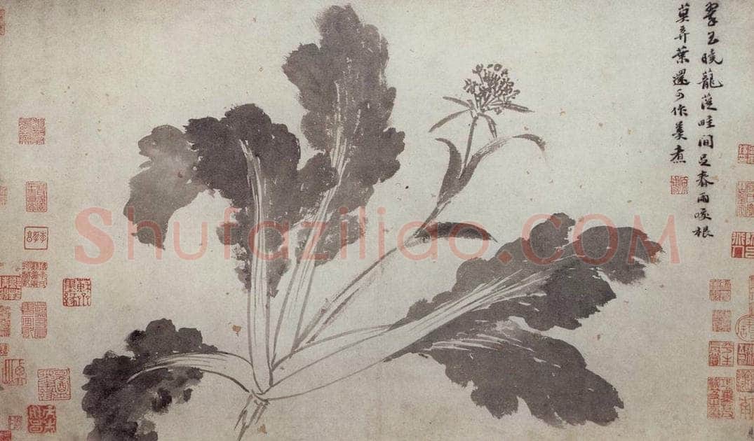 明 沈周 《墨菜辛夷图卷》 书画作品