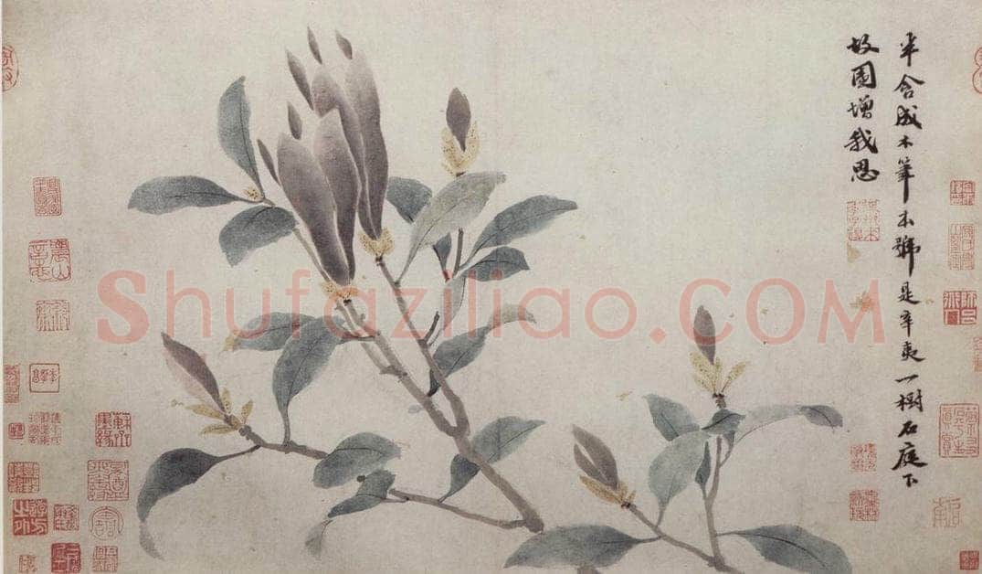 明 沈周 《墨菜辛夷图卷》 书画作品