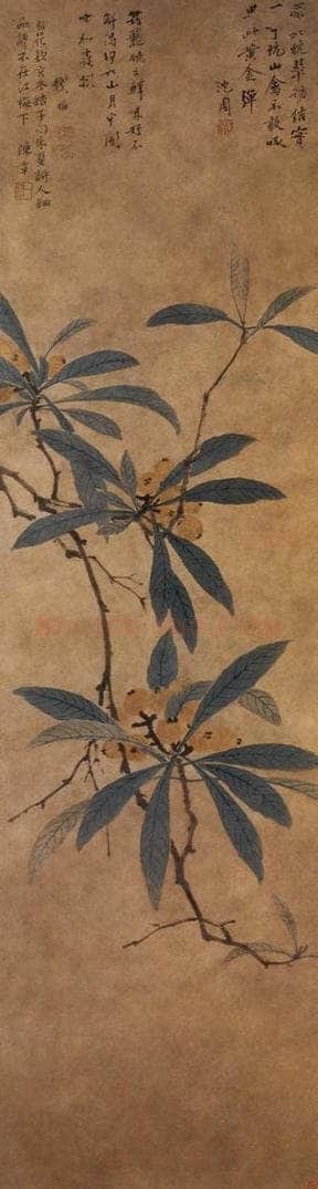 明 沈周 《枇杷图轴》 书画作品