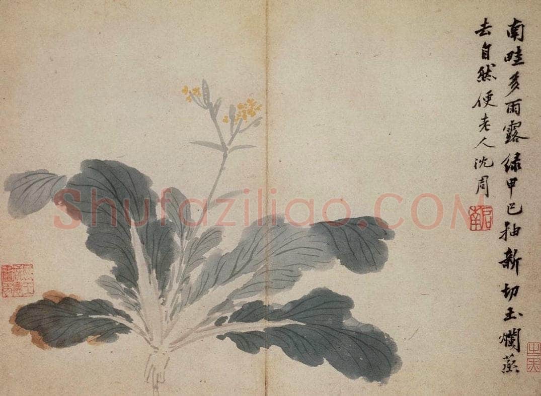 明 沈周 《卧游图册》 书画作品