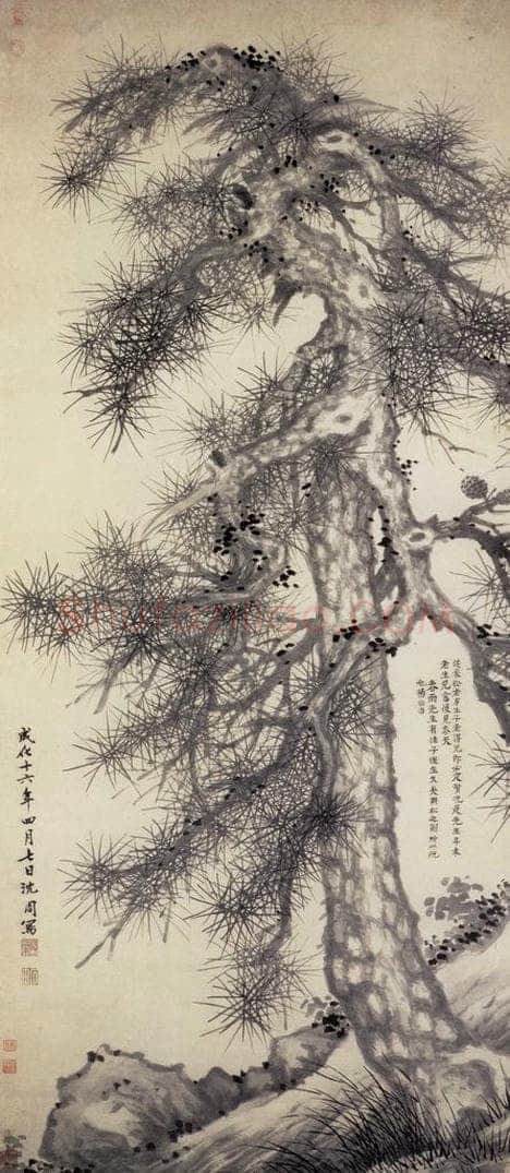 明 沈周 《松石图轴》 书画作品