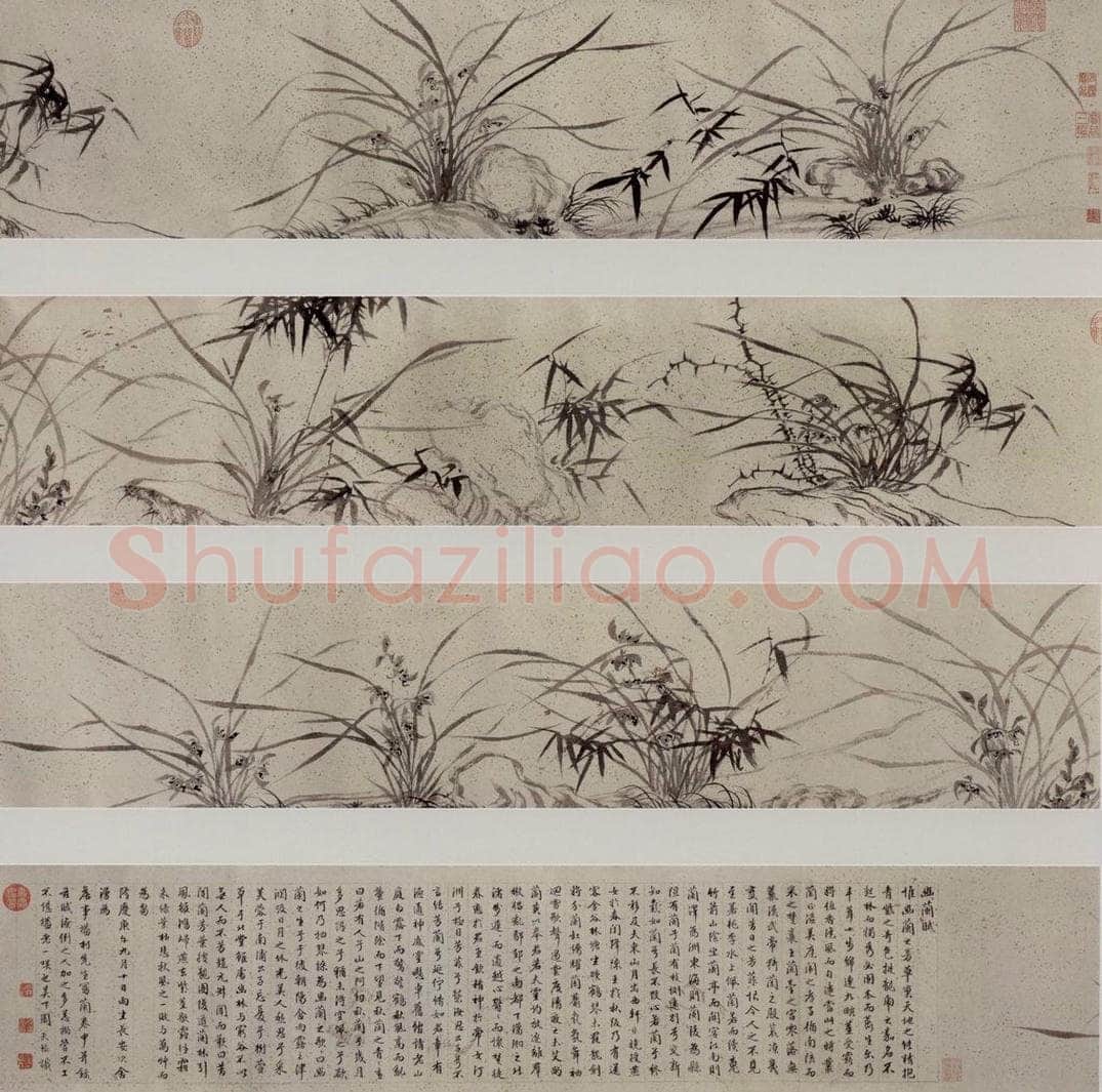 明 周天球 《葉蘭竹石圖卷》 书画作品