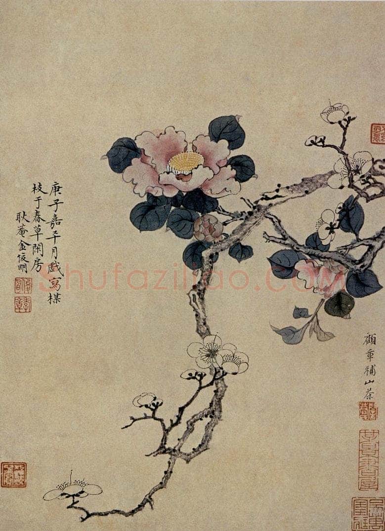 清 金俊明 《梅花山茶圖頁》 书画作品