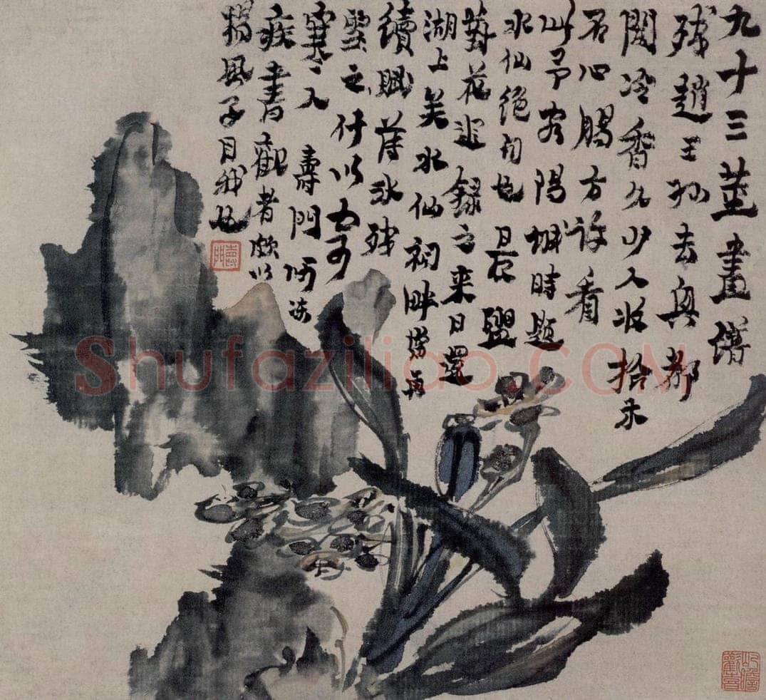 清 金农 《水仙秀石图页》 书画作品
