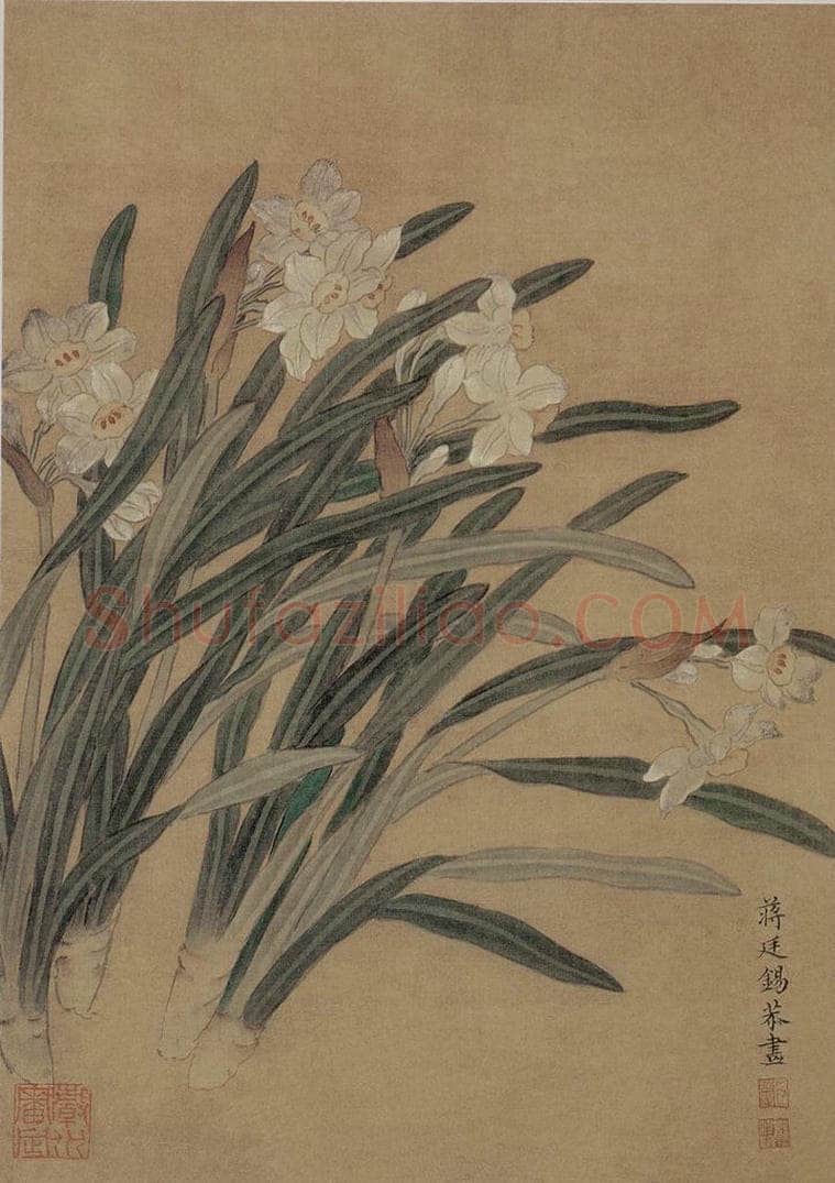 清 蔣廷錫 《水仙图页》 书画作品