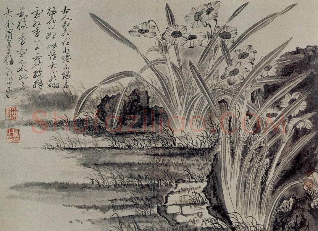 清 金玥 《水仙衫子图页》 书画作品