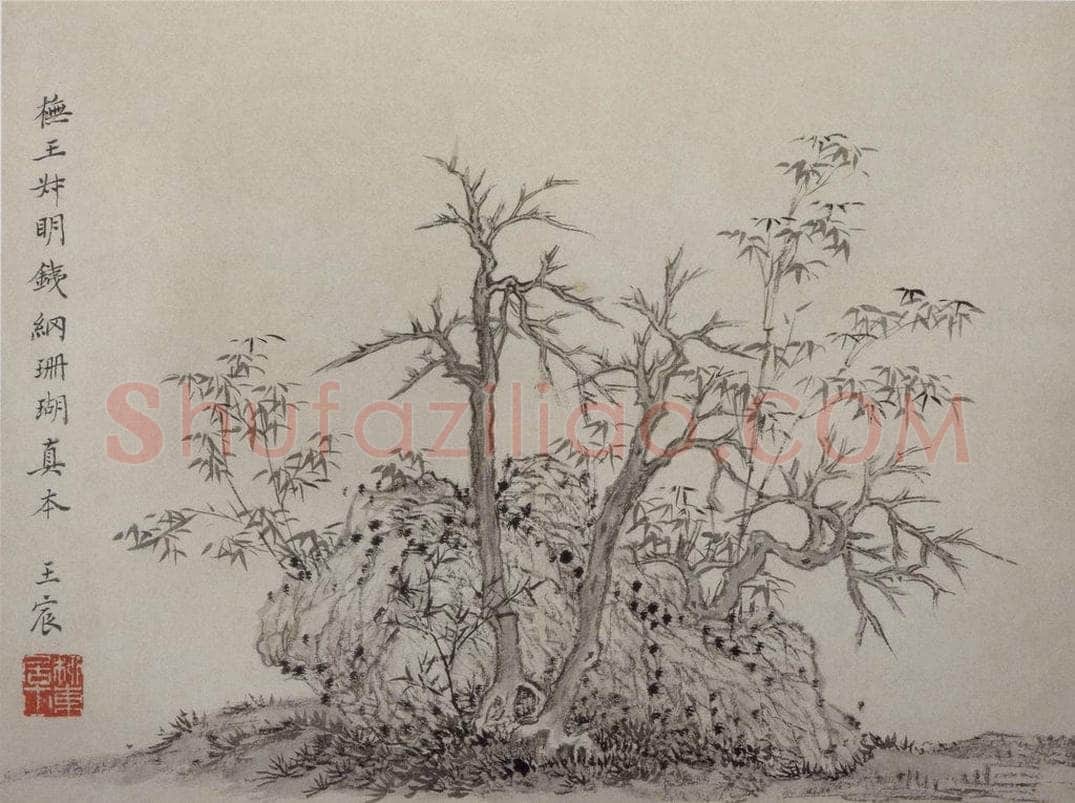 清 王宸 《枯樹竹石图页》 书画作品