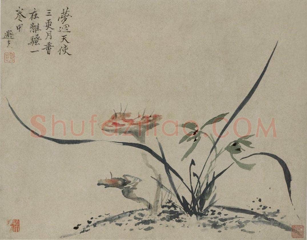 清 罗聘 《灵芝兰花图页》 书画作品