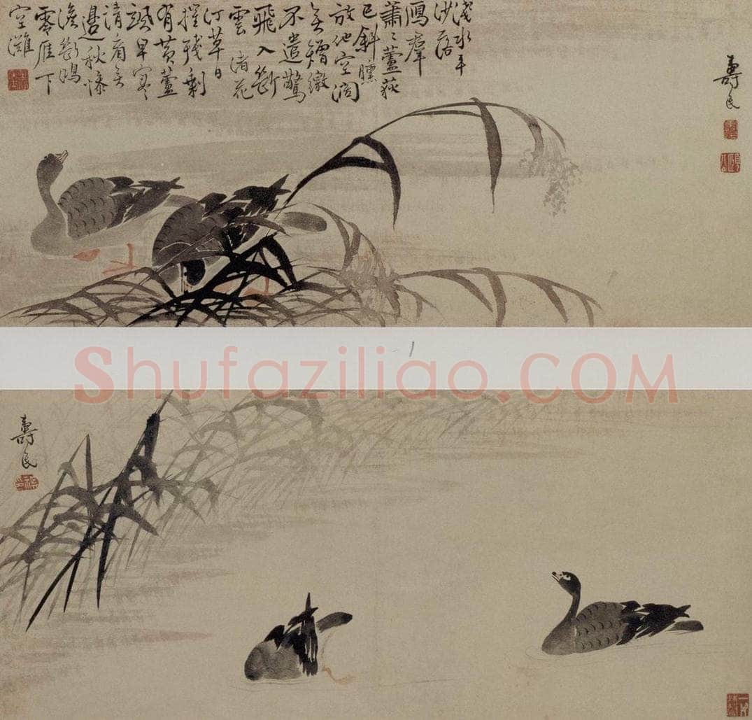 清 边寿民 《芦雁图页》 书画作品