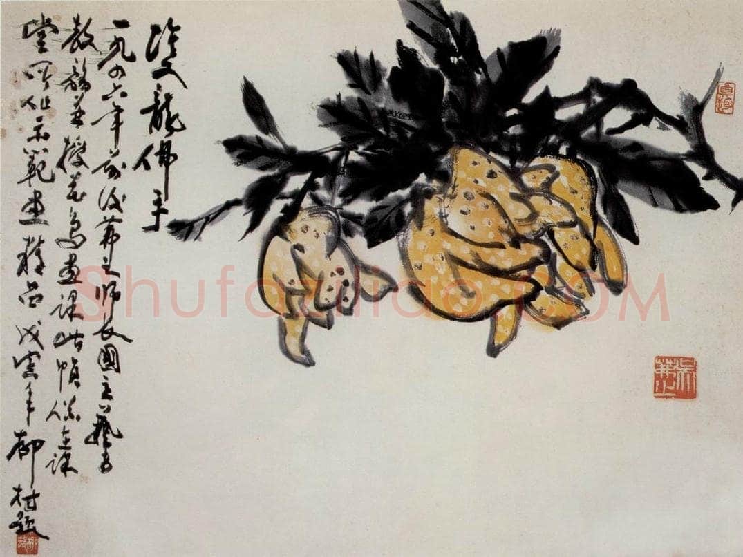 吴茀之 佛手图 书画作品